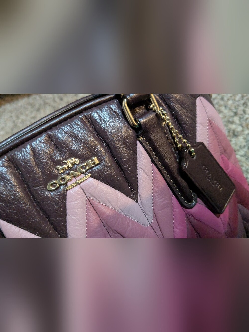 COACH MINI SAGE OMBRE' CARRYALL - Picture 9 of 11